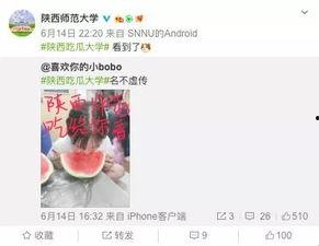 高校吃瓜爆料,揭秘校园吃瓜爆料背后的真相