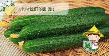 网黄吃瓜地址网站,热门话题、八卦资讯一网打尽